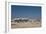 A Group of Bull Elephants, Springbok and Oryx at a Watering Hole-Alex Saberi-Framed Photographic Print