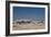 A Group of Bull Elephants, Springbok and Oryx at a Watering Hole-Alex Saberi-Framed Photographic Print