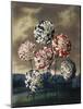 A Group of Carnations-null-Mounted Art Print