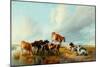 A Group of Cattle, 1877-Thomas Sidney Cooper-Mounted Giclee Print