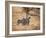 A Group of Cheetah on the Lookout for a Nearby Leopard in Namibia's Etosha National Park-Alex Saberi-Framed Photographic Print