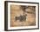 A Group of Cheetah on the Lookout for a Nearby Leopard in Namibia's Etosha National Park-Alex Saberi-Framed Photographic Print