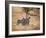 A Group of Cheetah on the Lookout for a Nearby Leopard in Namibia's Etosha National Park-Alex Saberi-Framed Photographic Print