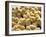 A Group Of Chick-Eky Studio-Framed Photographic Print