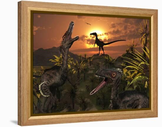 A Group of Feathered Carnivorous Velociraptors from the Cretaceous Period on Earth-Stocktrek Images-Framed Premier Image Canvas