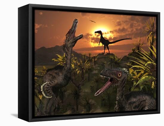 A Group of Feathered Carnivorous Velociraptors from the Cretaceous Period on Earth-Stocktrek Images-Framed Premier Image Canvas