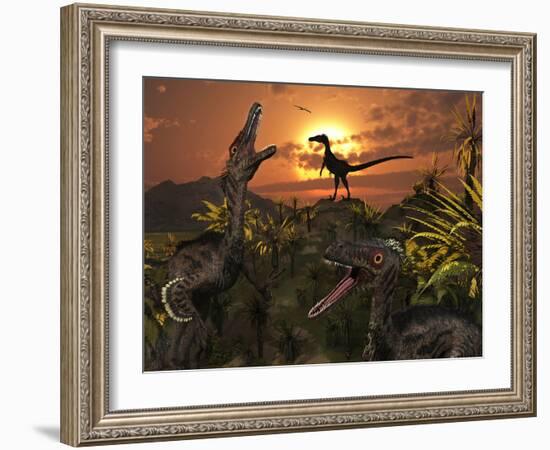 A Group of Feathered Carnivorous Velociraptors from the Cretaceous Period on Earth-Stocktrek Images-Framed Photographic Print