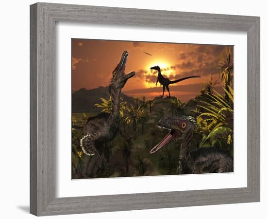 A Group of Feathered Carnivorous Velociraptors from the Cretaceous Period on Earth-Stocktrek Images-Framed Photographic Print