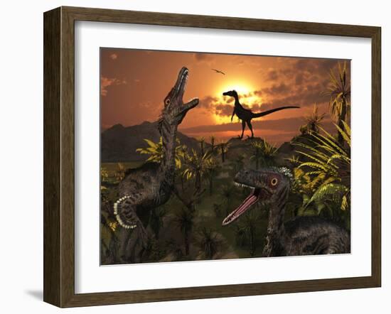 A Group of Feathered Carnivorous Velociraptors from the Cretaceous Period on Earth-Stocktrek Images-Framed Photographic Print