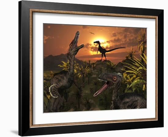 A Group of Feathered Carnivorous Velociraptors from the Cretaceous Period on Earth-Stocktrek Images-Framed Photographic Print