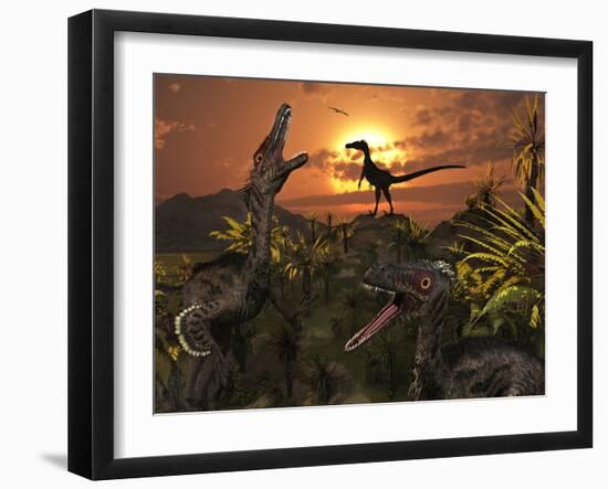 A Group of Feathered Carnivorous Velociraptors from the Cretaceous Period on Earth-Stocktrek Images-Framed Photographic Print