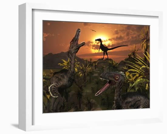 A Group of Feathered Carnivorous Velociraptors from the Cretaceous Period on Earth-Stocktrek Images-Framed Photographic Print