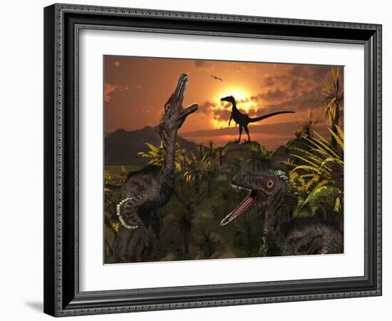 A Group of Feathered Carnivorous Velociraptors from the Cretaceous Period on Earth-Stocktrek Images-Framed Photographic Print