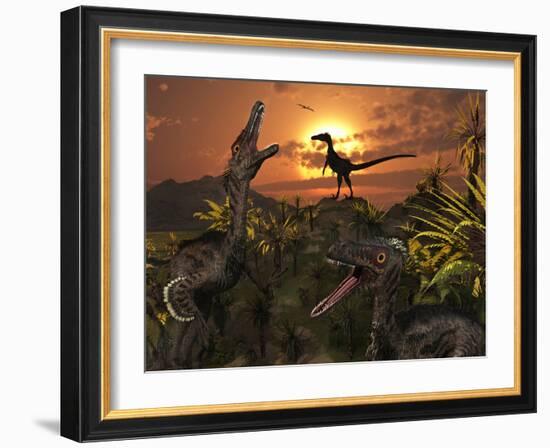 A Group of Feathered Carnivorous Velociraptors from the Cretaceous Period on Earth-Stocktrek Images-Framed Photographic Print