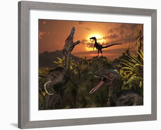 A Group of Feathered Carnivorous Velociraptors from the Cretaceous Period on Earth-Stocktrek Images-Framed Photographic Print