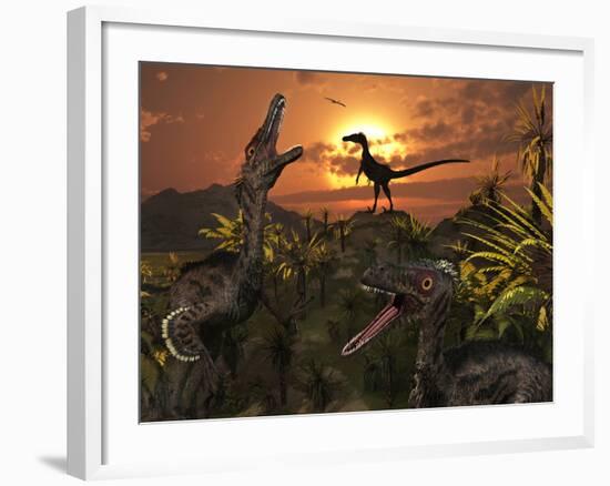 A Group of Feathered Carnivorous Velociraptors from the Cretaceous Period on Earth-Stocktrek Images-Framed Photographic Print