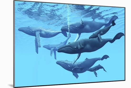 A Group of Humpback Whales Swimming Together-null-Mounted Art Print