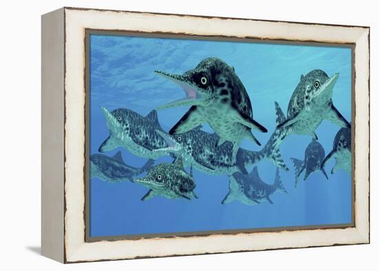 A Group of Ichthyosaurs Swimming in Prehistoric Waters-Stocktrek Images-Framed Stretched Canvas