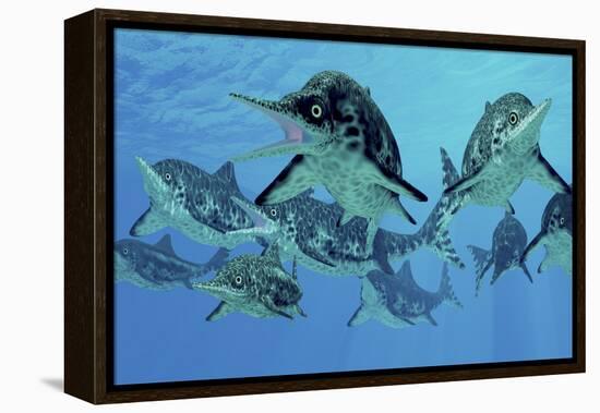 A Group of Ichthyosaurs Swimming in Prehistoric Waters-Stocktrek Images-Framed Stretched Canvas