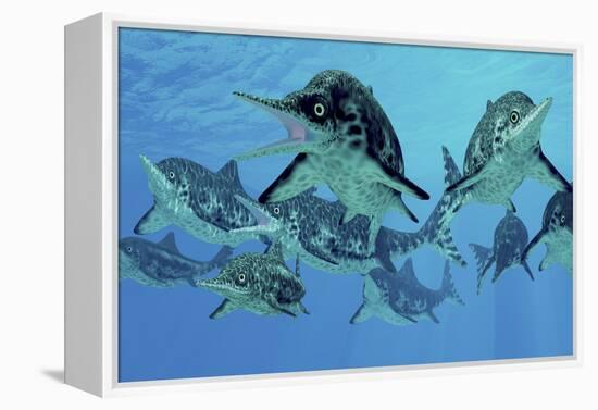 A Group of Ichthyosaurs Swimming in Prehistoric Waters-Stocktrek Images-Framed Stretched Canvas