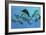 A Group of Ichthyosaurs Swimming in Prehistoric Waters-Stocktrek Images-Framed Premium Giclee Print