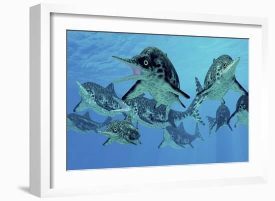 A Group of Ichthyosaurs Swimming in Prehistoric Waters-Stocktrek Images-Framed Premium Giclee Print