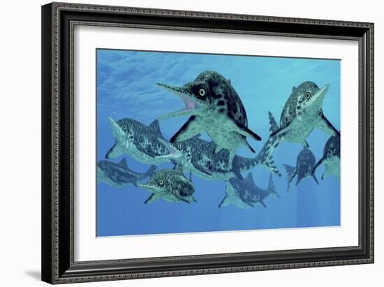 A Group of Ichthyosaurs Swimming in Prehistoric Waters-Stocktrek Images-Framed Premium Giclee Print