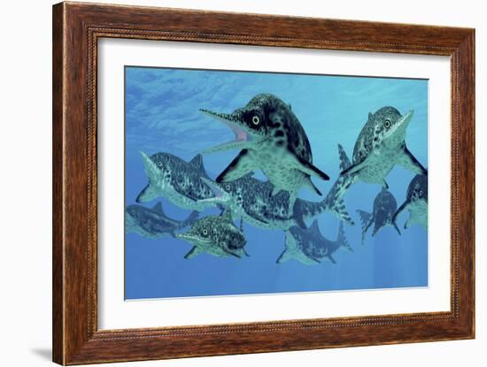 A Group of Ichthyosaurs Swimming in Prehistoric Waters-Stocktrek Images-Framed Art Print