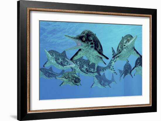 A Group of Ichthyosaurs Swimming in Prehistoric Waters-Stocktrek Images-Framed Art Print