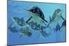 A Group of Ichthyosaurs Swimming in Prehistoric Waters-Stocktrek Images-Mounted Art Print