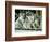 A Group of Koalas Gather Atop a Fence-null-Framed Photographic Print