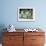 A Group of Koalas Gather Atop a Fence-null-Framed Photographic Print displayed on a wall