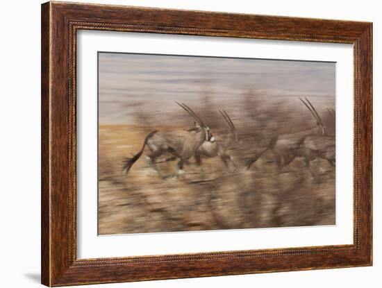 A Group of Oryx on the Run in Namib-Naukluft National Park-Alex Saberi-Framed Photographic Print