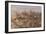 A Group of Oryx on the Run in Namib-Naukluft National Park-Alex Saberi-Framed Photographic Print