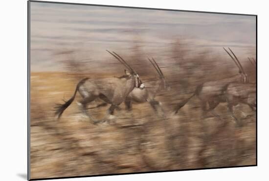 A Group of Oryx on the Run in Namib-Naukluft National Park-Alex Saberi-Mounted Photographic Print