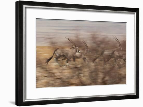A Group of Oryx on the Run in Namib-Naukluft National Park-Alex Saberi-Framed Photographic Print