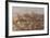 A Group of Oryx on the Run in Namib-Naukluft National Park-Alex Saberi-Framed Photographic Print