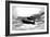 A Group of P-40 Warhawks Fly in Formation Near Nampa, Idaho-null-Framed Premium Photographic Print