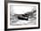 A Group of P-40 Warhawks Fly in Formation Near Nampa, Idaho-null-Framed Photographic Print