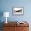 A Group of P-40 Warhawks Fly in Formation Near Nampa, Idaho-null-Framed Photographic Print displayed on a wall