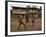 A Group of Panamanian Youths Slide Through the Mud During a Pick-Up Game of Soccer-null-Framed Photographic Print