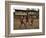 A Group of Panamanian Youths Slide Through the Mud During a Pick-Up Game of Soccer-null-Framed Photographic Print