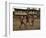 A Group of Panamanian Youths Slide Through the Mud During a Pick-Up Game of Soccer-null-Framed Photographic Print