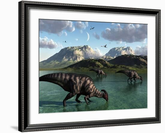 A Group of Parasaurolophus Dinosaurs Feed from a Freshwater Lake-Stocktrek Images-Framed Photographic Print