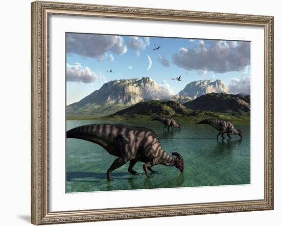 A Group of Parasaurolophus Dinosaurs Feed from a Freshwater Lake-Stocktrek Images-Framed Photographic Print