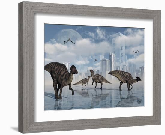 A Group of Parasaurolophus Duckbill Dinosaurs Gather at a Feeding Ground-Stocktrek Images-Framed Photographic Print