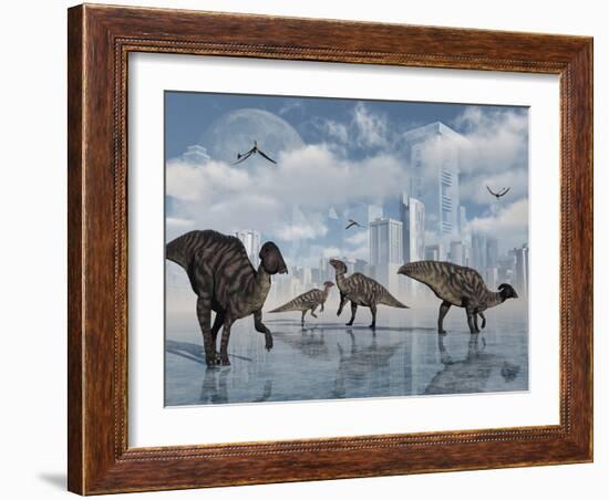 A Group of Parasaurolophus Duckbill Dinosaurs Gather at a Feeding Ground-Stocktrek Images-Framed Photographic Print
