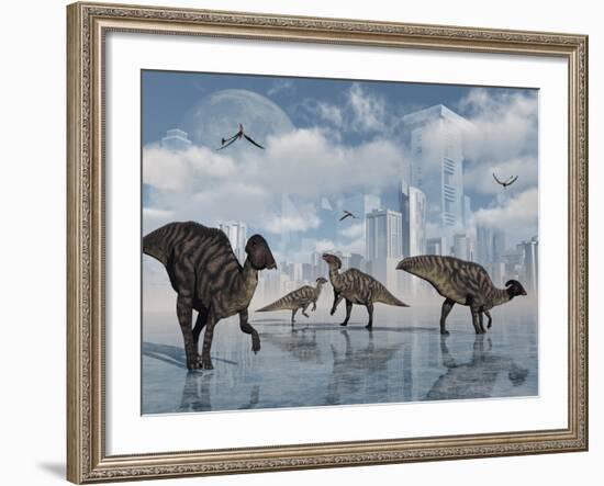 A Group of Parasaurolophus Duckbill Dinosaurs Gather at a Feeding Ground-Stocktrek Images-Framed Photographic Print