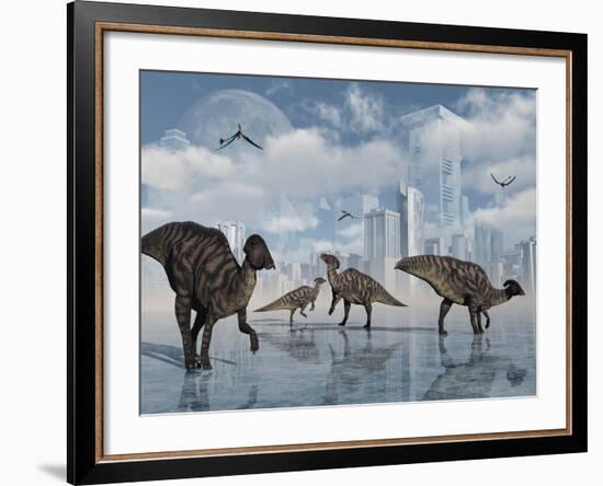 A Group of Parasaurolophus Duckbill Dinosaurs Gather at a Feeding Ground-Stocktrek Images-Framed Photographic Print