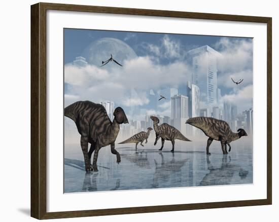 A Group of Parasaurolophus Duckbill Dinosaurs Gather at a Feeding Ground-Stocktrek Images-Framed Photographic Print